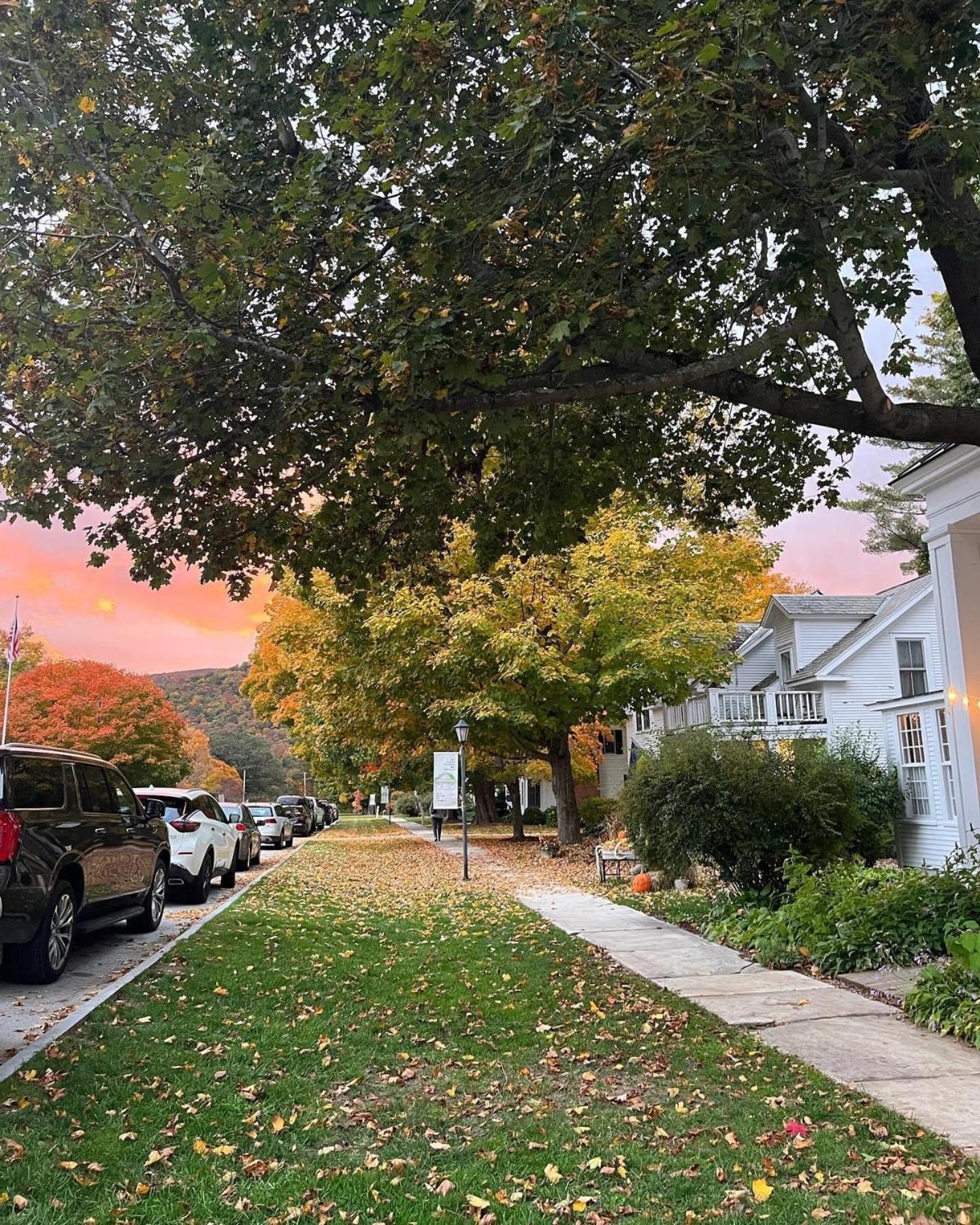 The Dorset Inn Bagian luar foto